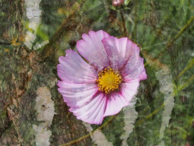 Dekoratif arka ile Resim Sergisi