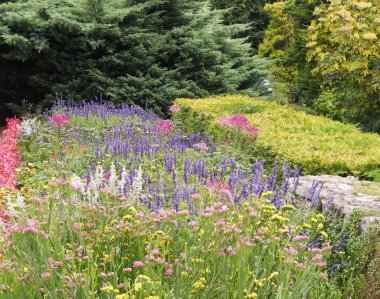 Botanik Bahçesi Krakow Polonya