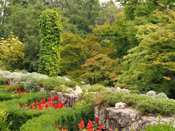 Jardín botánico Cracovia Polonia —  Fotos de Stock