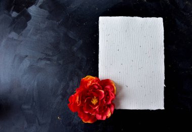 Siyah parlak arkaplanda beyaz ve kırmızı şakayık için boşluk içeren kart.