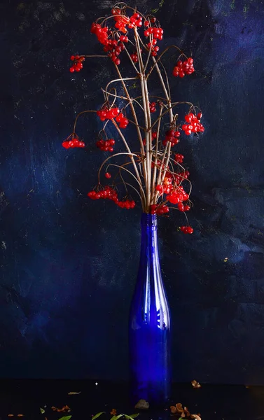 Twigs Red Fruits Viburnum Blue Vase Black Background — Stock Photo, Image