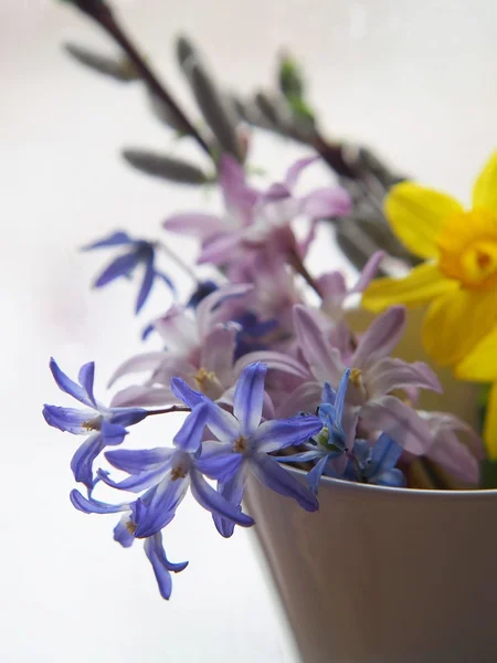 Flores de primavera — Fotografia de Stock