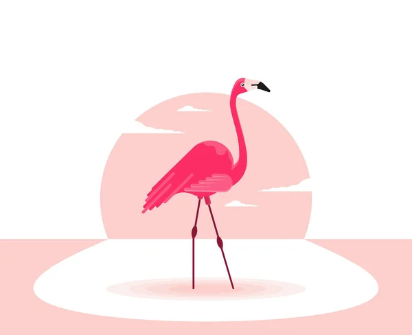 Ilustração Vetorial Flamingo Rosa — Vetor de Stock