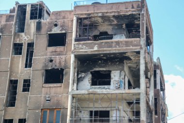 Ocak 2019 'da kışın Antarktika