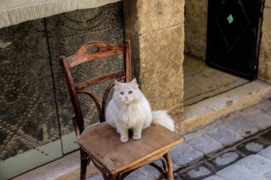 Kasım ayında IŞİD 'in yenilgisinden sonra Suriye' nin kuzeyindeki Halep eski kenti