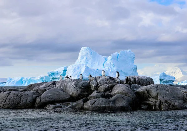 Antarctique Hiver Janvier 2018 — Photo