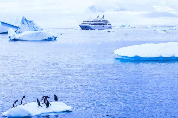 Antarctique Hiver Janvier 2018 — Photo