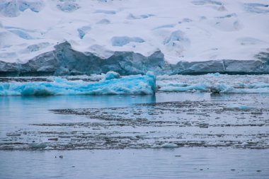 Ocak 2018 'de kışın Antarktika