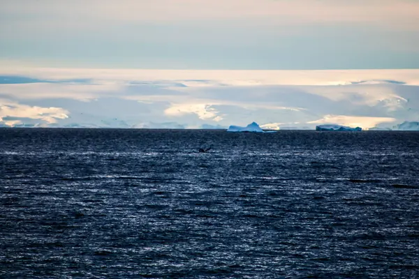 Antarktisz Télen 2018 Januárjában — Stock Fotó
