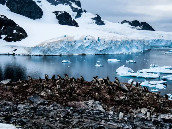 Antarctica Winter Januari 2018 — Stockfoto