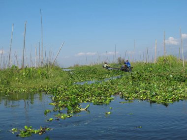 Kırsal yaşam ve yazın Myanmar manzarası