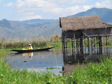 Kırsal yaşam ve yazın Myanmar manzarası
