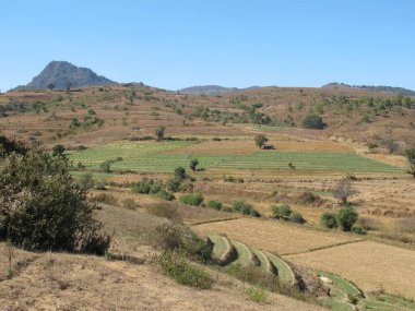 Kırsal yaşam ve yazın Myanmar manzarası