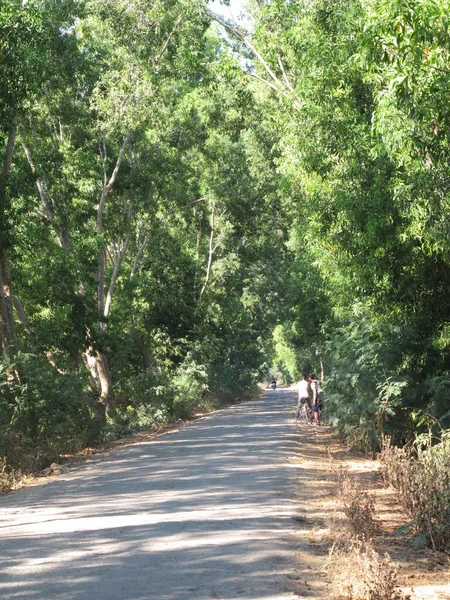 缅甸夏季的农村生活和风景 — 图库照片