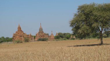 Kırsal yaşam ve yazın Myanmar manzarası