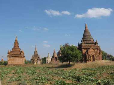 Kırsal yaşam ve yazın Myanmar manzarası