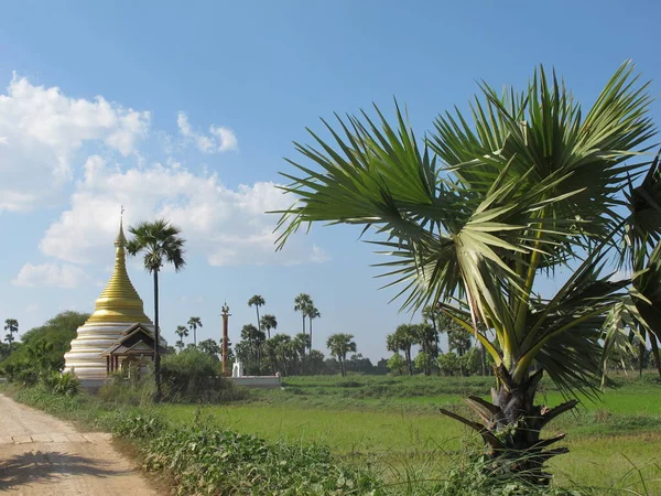 Landsbygdsliv Och Sevärdheter Myanmar Sommaren — Stockfoto