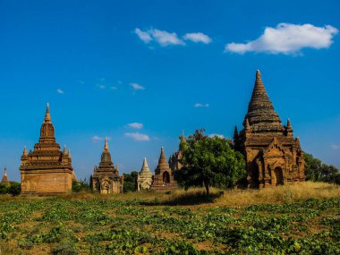 Kırsal yaşam ve yazın Myanmar manzarası