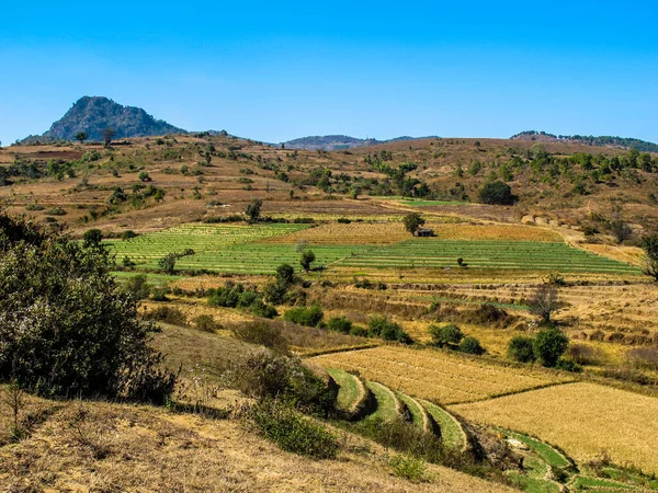 Αγροτική Ζωή Και Αξιοθέατα Της Μιανμάρ Καλοκαίρι — Φωτογραφία Αρχείου