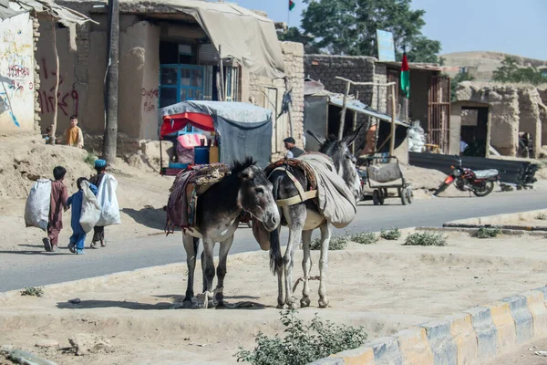 Vida Diaria Los Refugiados Badghis Afganistán Desierto — Foto de Stock