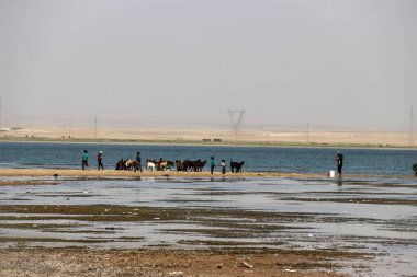 2020 yazında Suriye 'nin kuzeydoğusundaki IŞİD kampındaki mülteci çocuklar