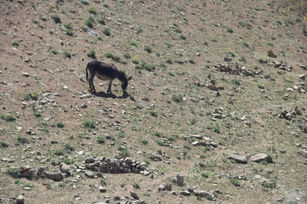 Afghánistán Bamyan Band Amir Jezera Létě Roku 2019 — Stock fotografie