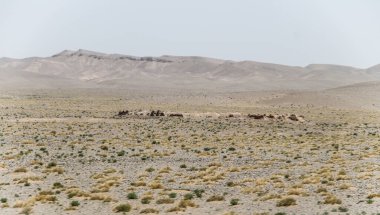 Bedir 'de günlük mülteci köyü hayatı, Afganistan' da çölde..
