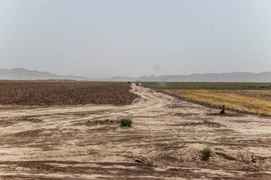 Bedir 'de günlük mülteci köyü hayatı, Afganistan' da çölde..