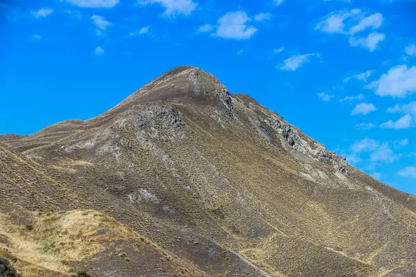 Горы Южного Острова Фермы Реки Леса Новой Зеландии — стоковое фото