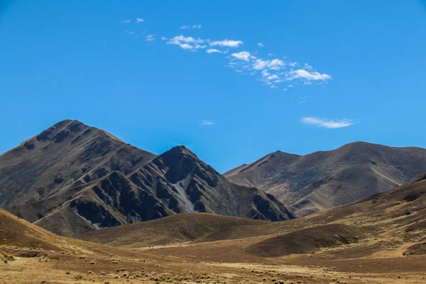 Güney Adası Dağları Çiftlikler Nehirler Yeni Zelanda Ormanları — Stok fotoğraf