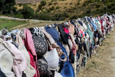Güney Adası dağları, Yeni Zelanda 'nın çiftlikleri ve ormanları Mart 2019' da