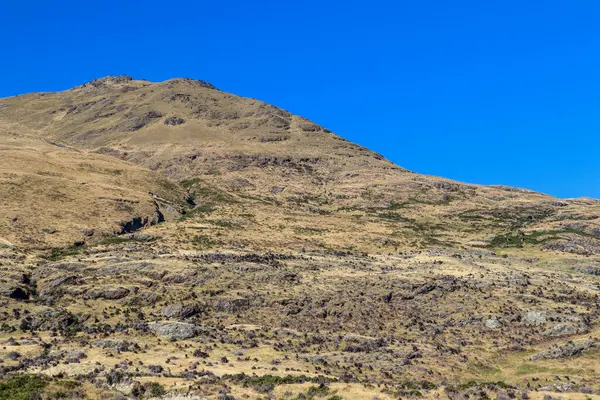 Montagne Fattorie Foreste Della Nuova Zelanda Nell Estate Marzo 2019 — Foto Stock