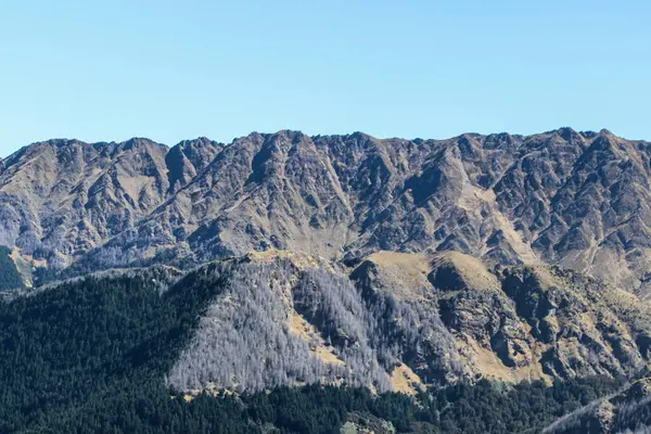 South Island Montanhas Fazendas Florestas Nova Zelândia Verão Março 2019 — Fotografia de Stock