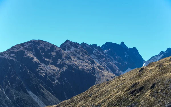 South Island Montanhas Fazendas Florestas Nova Zelândia Verão Março 2019 — Fotografia de Stock