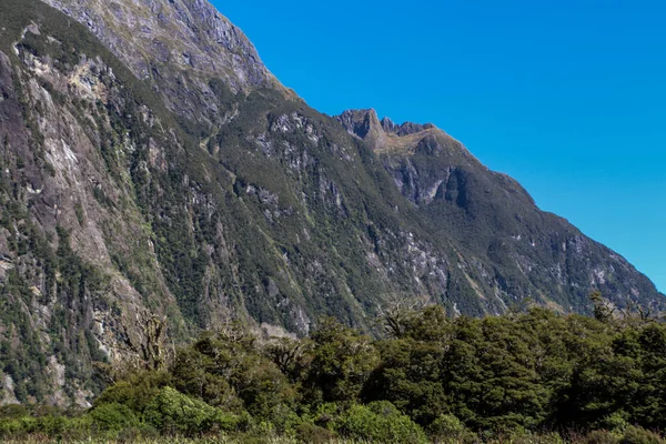 Βουνά Αγροκτήματα Και Δάση Της Νέας Ζηλανδίας Καλοκαίρι Του Μαρτίου — Φωτογραφία Αρχείου