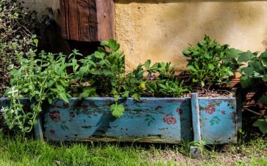 Mart 2019 yazında Yeni Zelanda plajları, dağlar, çiftlikler, nehirler ve ormanlar