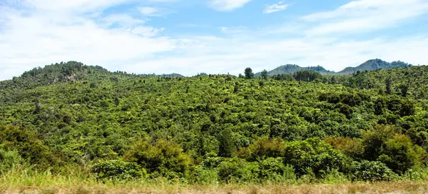 Novozélandské Pláže Hory Farmy Řeky Lesy Létě Března 2019 — Stock fotografie