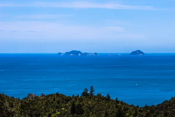 Plages Montagnes Fermes Rivières Forêts Néo Zélandaises Été 2019 — Photo