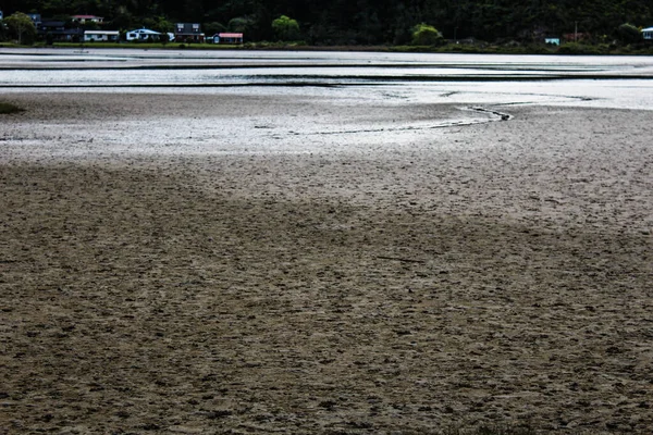 New Zealand Beaches Mountains Farms Rivers Forests Summer March 2019 — Stock Photo, Image