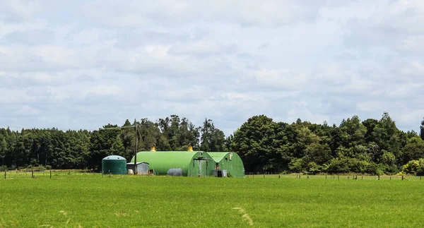 Nieuw Zeelandse Stranden Bergen Boerderijen Rivieren Bossen Zomer Van Maart — Stockfoto