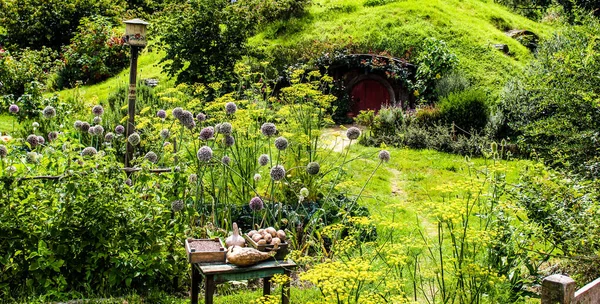 Neuseeländische Strände Berge Bauernhöfe Flüsse Und Wälder Sommer 2019 — Stockfoto