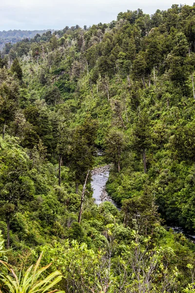 Пляжи Горы Фермы Реки Леса Новой Зеландии Летом 2019 Года — стоковое фото
