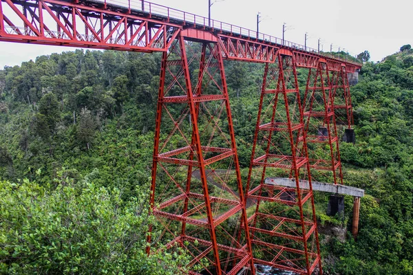 Neuseeländische Strände Berge Bauernhöfe Flüsse Und Wälder Sommer 2019 — Stockfoto