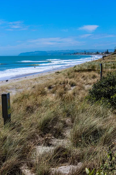 Plages Montagnes Fermes Rivières Forêts Néo Zélandaises Été 2019 — Photo