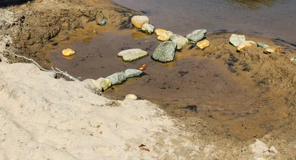 New Zealand Beaches Mountains Farms Rivers Forests Summer March 2019 — Stock Photo, Image