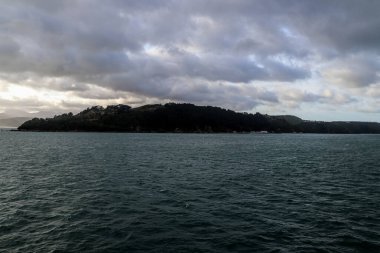 Şubat 2020 'de Marlborough' da Yeni Zelanda üzüm bağı