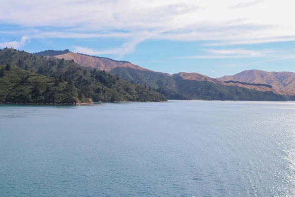 Vinha Nova Zelândia Marlborough Fevereiro 2020 — Fotografia de Stock