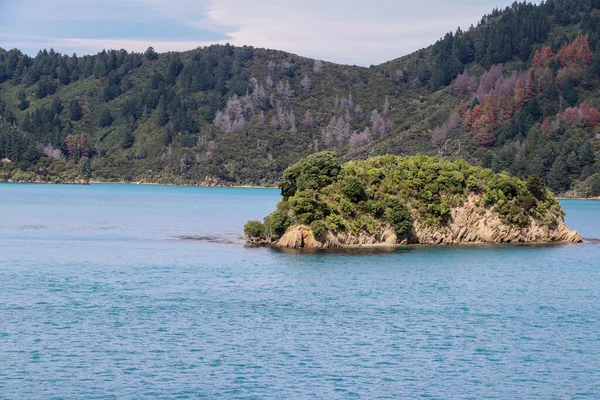 Nieuw Zeelandse Wijngaard Marlborough Februari 2020 — Stockfoto