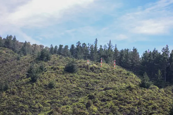 Vigneto Neozelandese Marlborough Nel Febbraio 2020 — Foto Stock