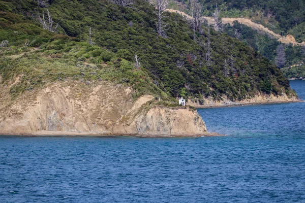 Αμπελώνας Νέας Ζηλανδίας Στο Marlborough Τον Φεβρουάριο Του 2020 — Φωτογραφία Αρχείου